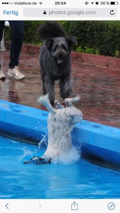 FOTOCHALLANGE NR.71 BADEFREUDE-Beitrag-Bild