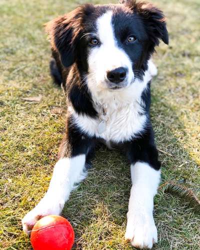 Lieblings Fotos-Beitrag-Bild