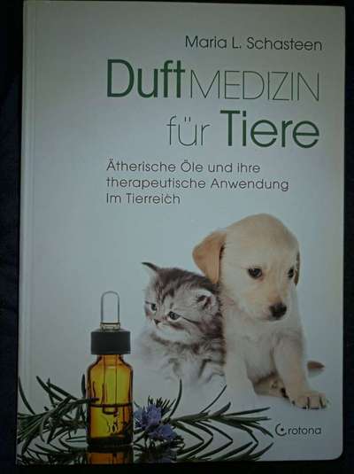 Hunde-Fachliteratur-Beitrag-Bild