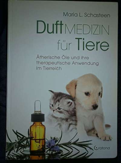 Hunde-Fachliteratur-Beitrag-Bild