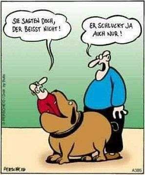 Hund vom Veterinäramt weggenommen-Beitrag-Bild