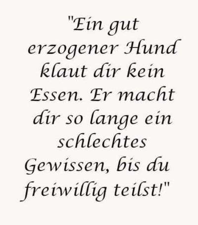 Hunde sprüche-Beitrag-Bild