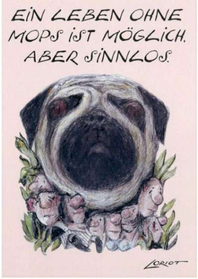 Hunde sprüche-Beitrag-Bild