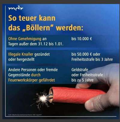 Polizei rufen wegen Böllerwurf auf Hunde?-Beitrag-Bild