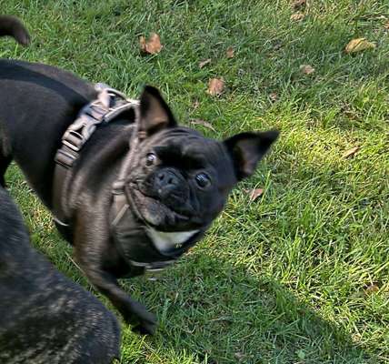 Lieblings Schnappschuss?-Beitrag-Bild