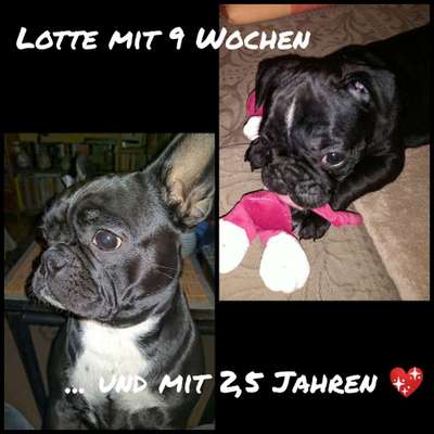 Vorher.... Nachher-Beitrag-Bild