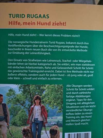 Leine knabbern, springen und Beine beißen-Beitrag-Bild