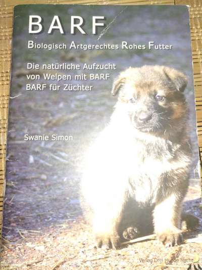 Pedigree Bewertung Junior Futter?-Beitrag-Bild