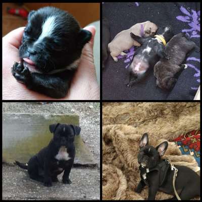 Foto Challenge 3-Beitrag-Bild