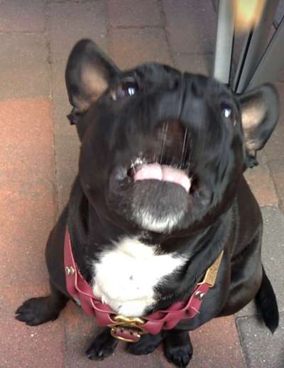 Fotochallenge No. 5-Beitrag-Bild