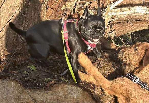 Fotochallange Nr. 6 Die irrsten Blicke-Beitrag-Bild