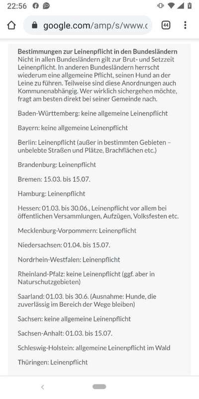 Brutzeit 🐣🐥-Beitrag-Bild