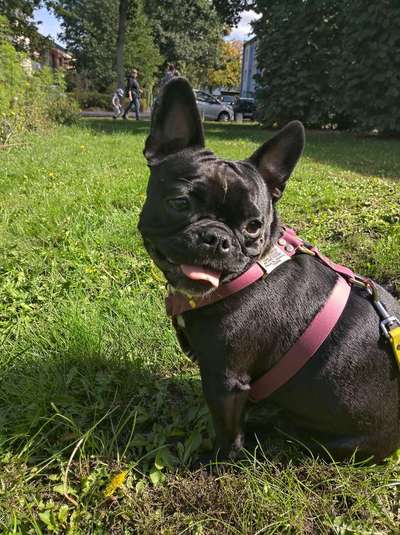 Schleppleine-Beitrag-Bild