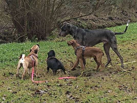 Cora und Amy beim spielen .-Beitrag-Bild