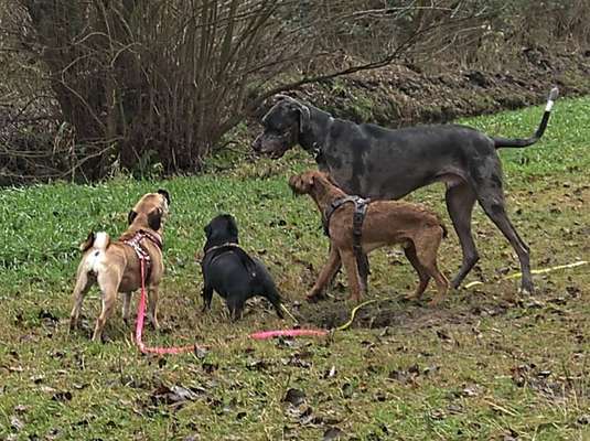 Cora und Amy beim spielen .-Beitrag-Bild