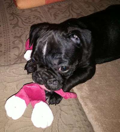 Das erste Foto-Beitrag-Bild