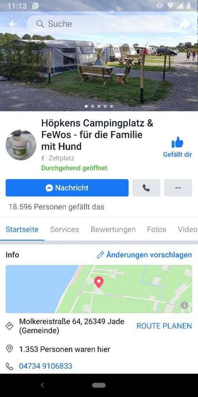 Urlaub mit Hund / fliegen-Beitrag-Bild