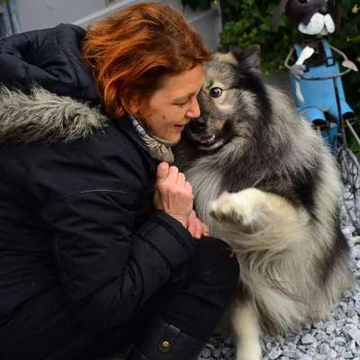 Hundeschulen-Hundecoaching Manuela Henschke-Bild