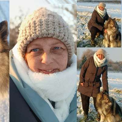 Giftköder-Hilfe bei Alltagsproblemen mit Hund-Bild