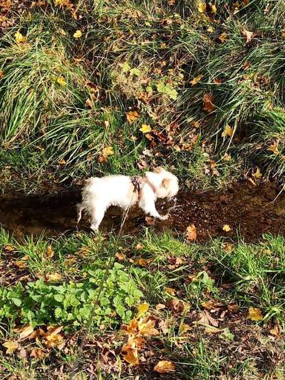 Farben Fotochallenge Thema ,,Grün"-Beitrag-Bild