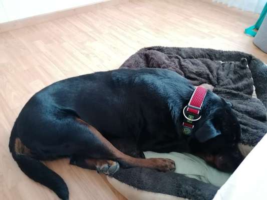 Die unbequemsten und lustigsten Schlafpositionen-Beitrag-Bild