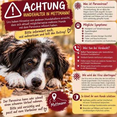 Giftköder-Parvovirus Kreis Mettmann-Bild