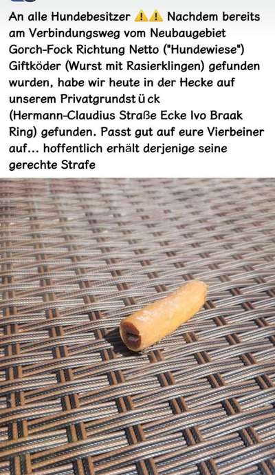 Giftköder-Wurststück mit Rasierklinge-Bild