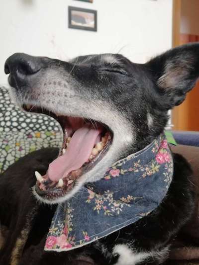 Fotochallenge Nr. 67: Euer Lieblingsbild-Beitrag-Bild