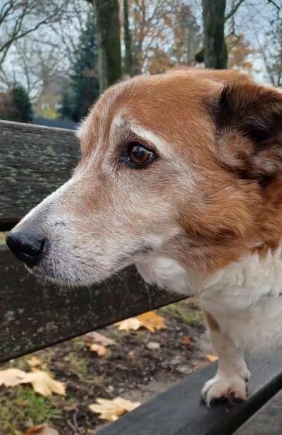 Fotochallenge Nr. 56 - geliebte Senioren-Beitrag-Bild