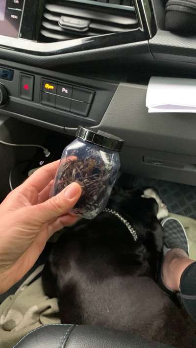 Gras fressen- bereits zweimal operiert-Beitrag-Bild