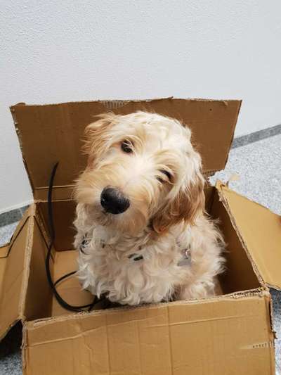 Erstes Bild-Beitrag-Bild