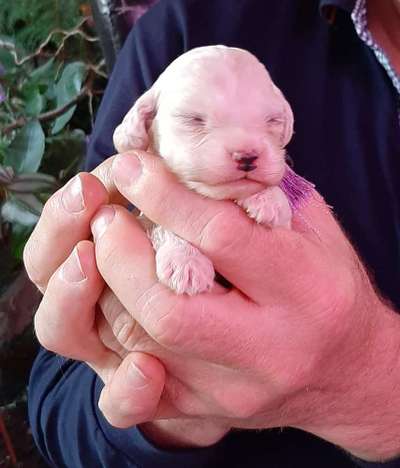 Erstes Bild-Beitrag-Bild