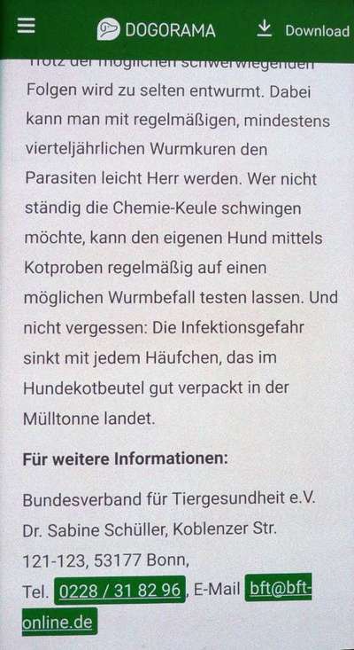 Wird zu selten entwurmt? Wurmbefall bei Hunden in Deutschland-Beitrag-Bild