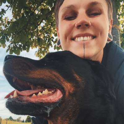 Hundetreffen-Gassirunde-Profilbild