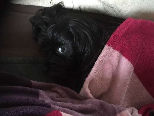 Fotochallange Nr. 6 Die irrsten Blicke-Beitrag-Bild