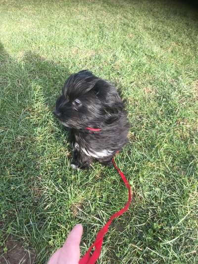 Fotochallenge Nr 50 Vom Winde verweht-Beitrag-Bild