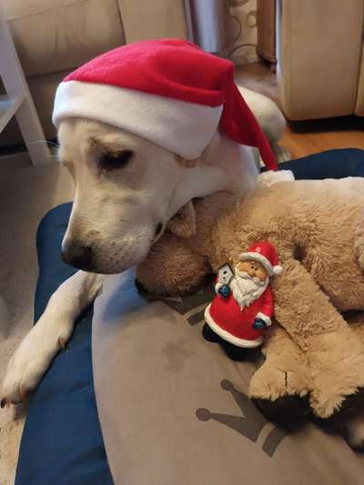 Lieblingsbild-Beitrag-Bild