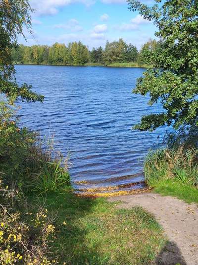 Hundeauslaufgebiet-Güster Seen und Kanal-Bild