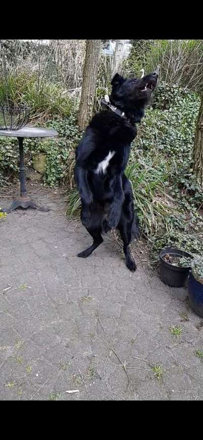 Fotochallenge Nr. 52 „Spring!“-Beitrag-Bild