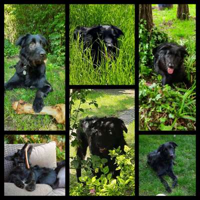 32. Collagen Challenge - eure liebsten gestellten Fotos-Beitrag-Bild