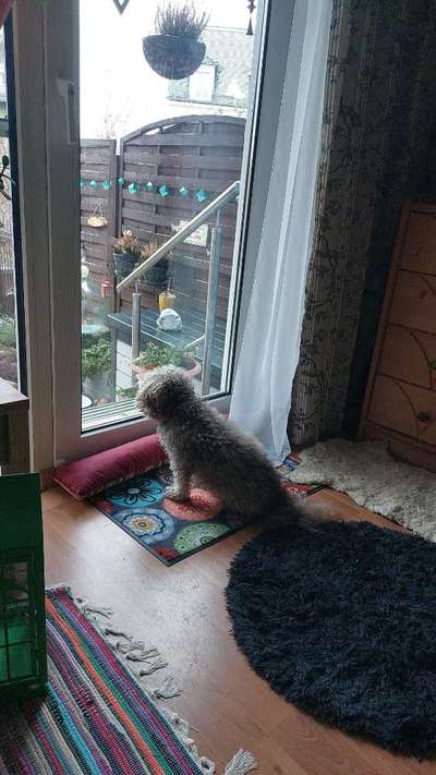 120. Fotochallenge-Beitrag-Bild