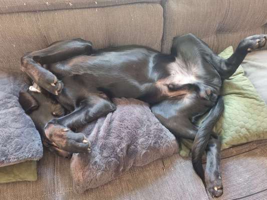 Foto Challenge - Zeigt her eure Bäuche-Beitrag-Bild