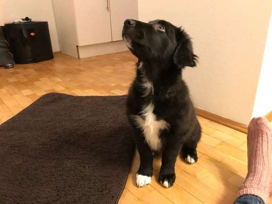 Das erste Foto-Beitrag-Bild