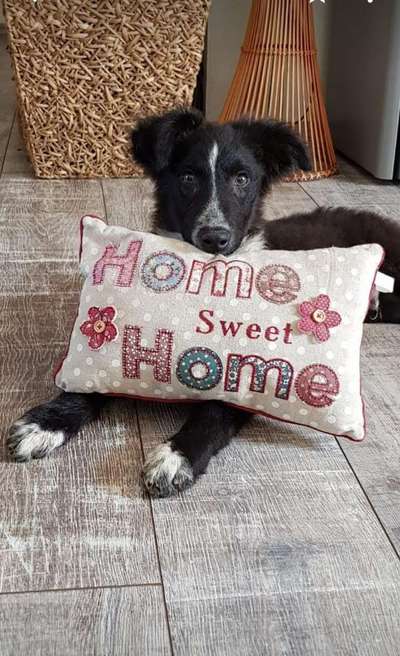 Erstes Bild-Beitrag-Bild