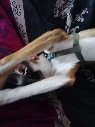 Un...scharf Bilder-Beitrag-Bild