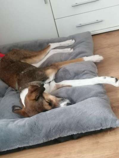 Die unbequemsten und lustigsten Schlafpositionen-Beitrag-Bild