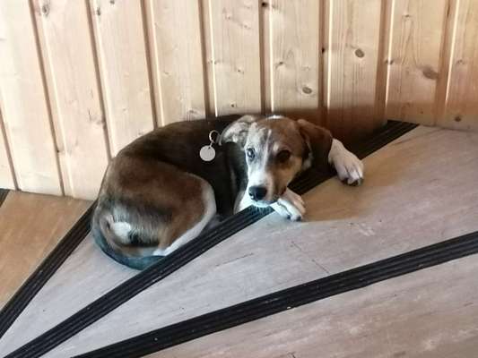 Hier ist der Spaßthread. Zum Schmunzeln und Kaputtlachen-Beitrag-Bild