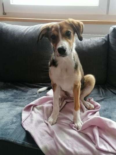 Lieblingsbild :D-Beitrag-Bild