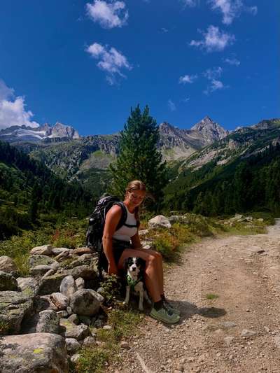 Hundetreffen-Gassitreffen für Spaß und Ausgleich-Bild