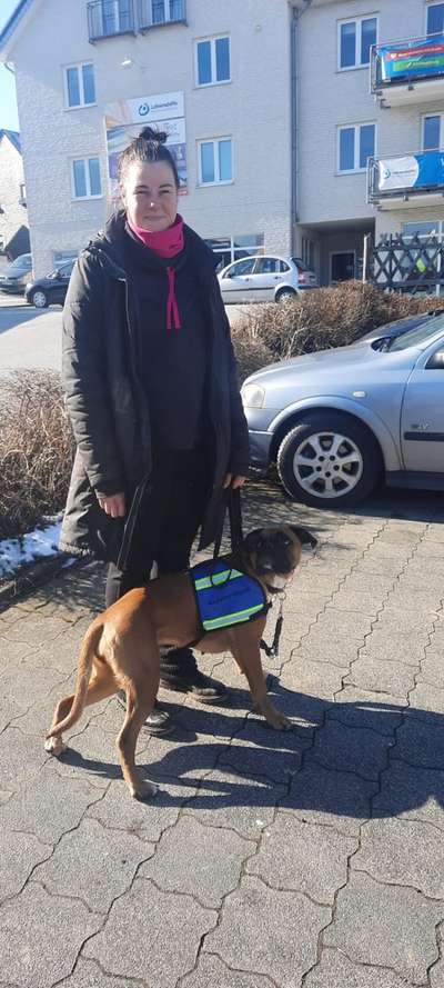 Assistenzhund-Beitrag-Bild